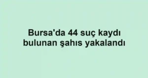 Bursa'da 44 suç kaydı bulunan şahıs yakalandı