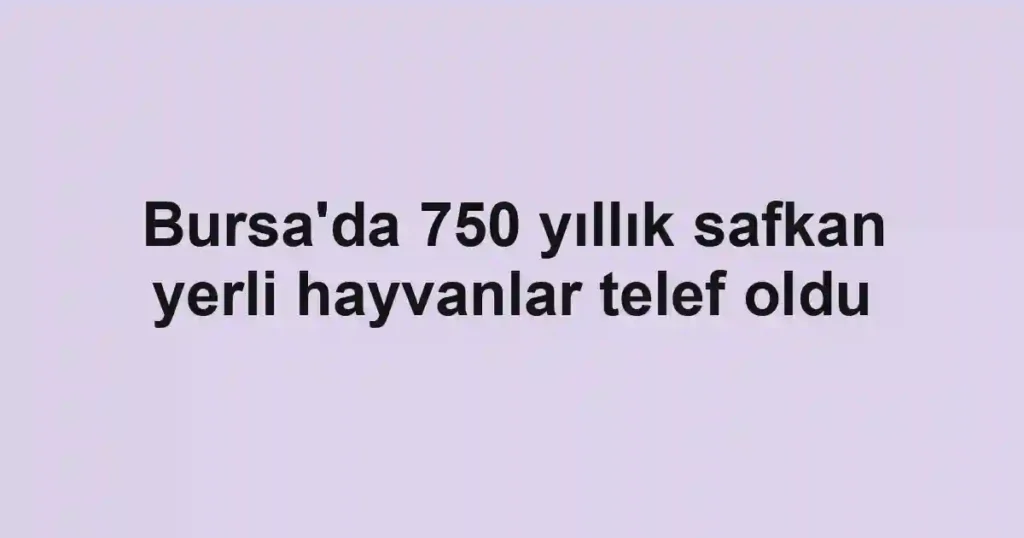 Bursa'da 750 yıllık safkan yerli hayvanlar telef oldu