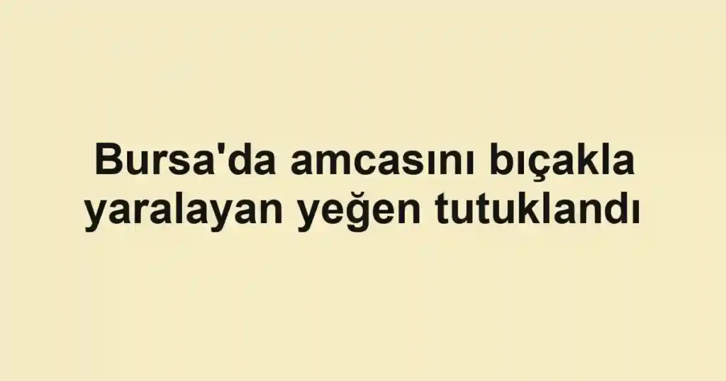 Bursa'da amcasını bıçakla yaralayan yeğen tutuklandı