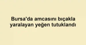 Bursa'da amcasını bıçakla yaralayan yeğen tutuklandı