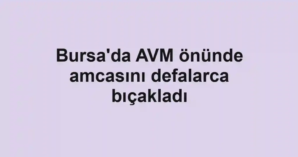 Bursa'da AVM önünde amcasını defalarca bıçakladı