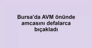 Bursa'da AVM önünde amcasını defalarca bıçakladı
