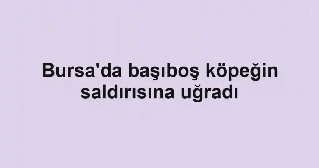 Bursa'da başıboş köpeğin saldırısına uğradı