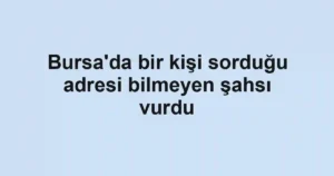 Bursa'da bir kişi sorduğu adresi bilmeyen şahsı vurdu
