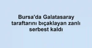 Bursa'da Galatasaray taraftarını bıçaklayan zanlı serbest kaldı