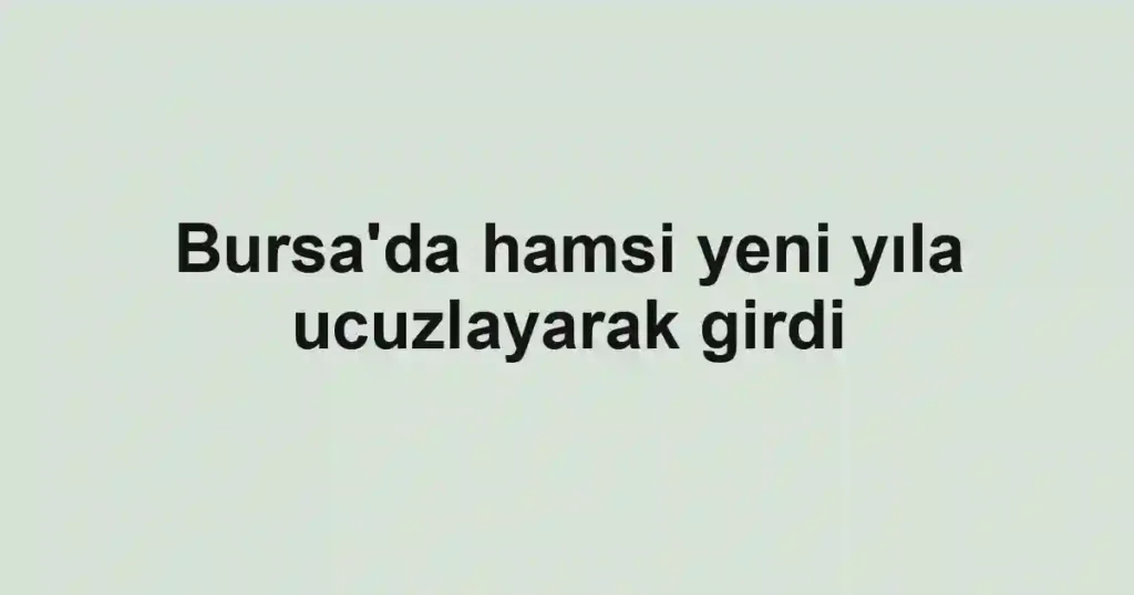 Bursa'da hamsi yeni yıla ucuzlayarak girdi