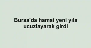 Bursa'da hamsi yeni yıla ucuzlayarak girdi