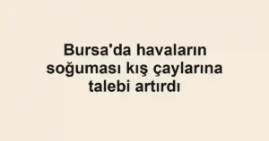 Bursa'da havaların soğuması kış çaylarına talebi artırdı
