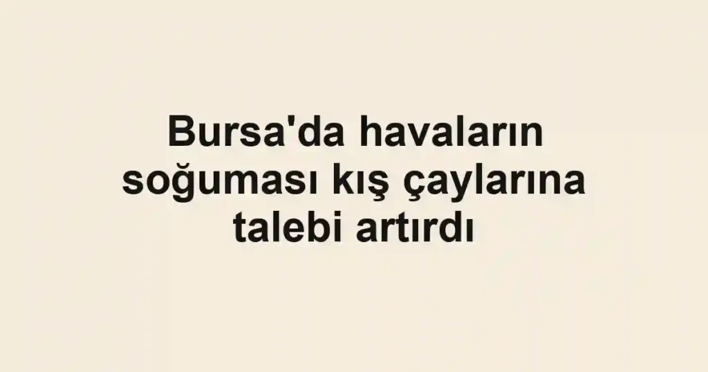 Bursa'da havaların soğuması kış çaylarına talebi artırdı