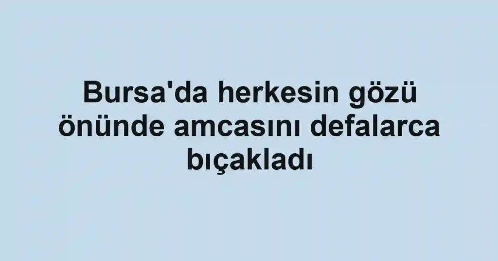 Bursa'da herkesin gözü önünde amcasını defalarca bıçakladı