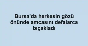 Bursa'da herkesin gözü önünde amcasını defalarca bıçakladı