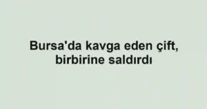 Bursa'da kavga eden çift, birbirine saldırdı