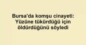 Bursa'da komşu cinayeti: Yüzüne tükürdüğü için öldürdüğünü söyledi