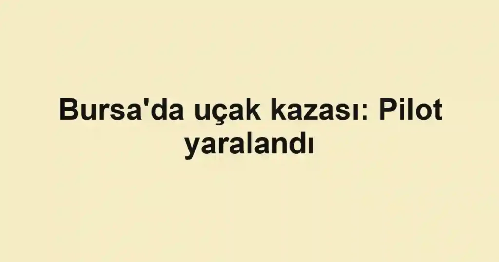 Bursa'da uçak kazası: Pilot yaralandı
