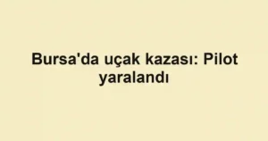 Bursa'da uçak kazası: Pilot yaralandı