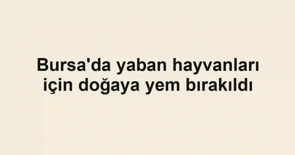Bursa'da yaban hayvanları için doğaya yem bırakıldı