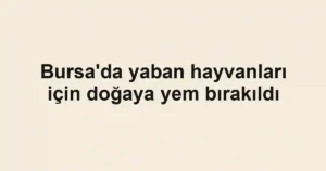 Bursa'da yaban hayvanları için doğaya yem bırakıldı