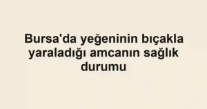 Bursa'da yeğeninin bıçakla yaraladığı amcanın sağlık durumu