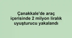 Çanakkale'de araç içerisinde 2 milyon liralık uyuşturucu yakalandı