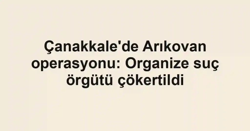 Çanakkale'de Arıkovan operasyonu: Organize suç örgütü çökertildi