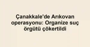 Çanakkale'de Arıkovan operasyonu: Organize suç örgütü çökertildi