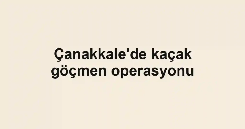 Çanakkale'de kaçak göçmen operasyonu