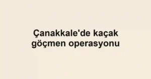 Çanakkale'de kaçak göçmen operasyonu