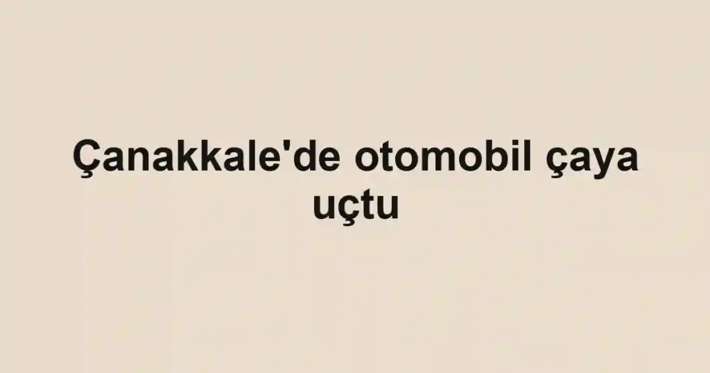 Çanakkale'de otomobil çaya uçtu