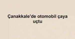 Çanakkale'de otomobil çaya uçtu