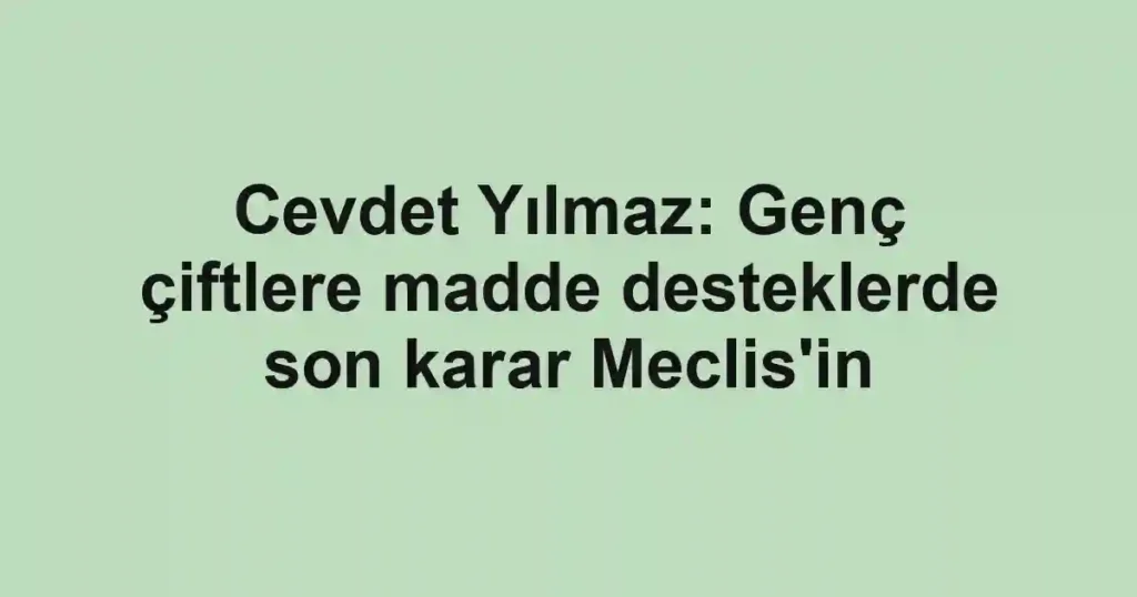 Cevdet Yılmaz: Genç çiftlere madde desteklerde son karar Meclis'in