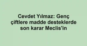 Cevdet Yılmaz: Genç çiftlere madde desteklerde son karar Meclis'in
