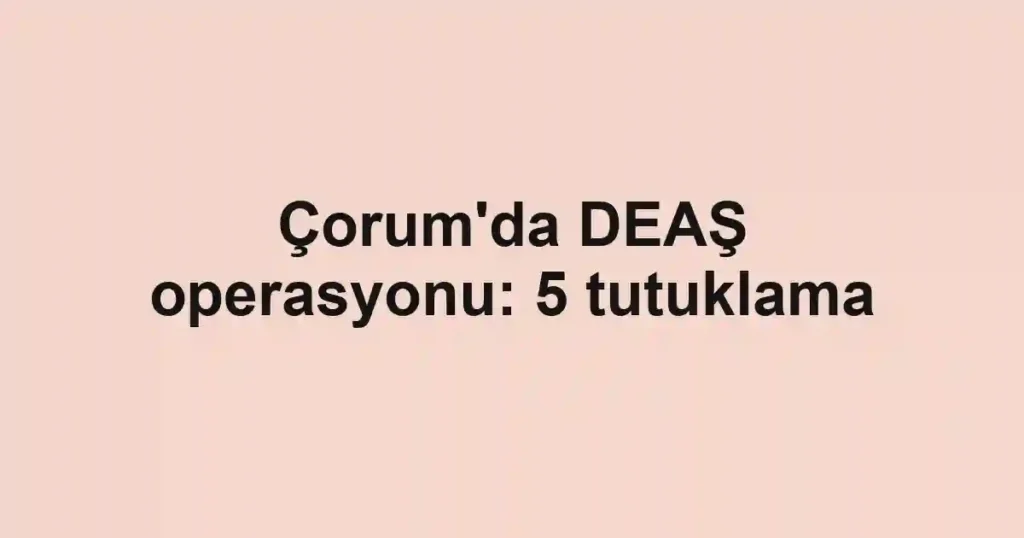 Çorum'da DEAŞ operasyonu: 5 tutuklama