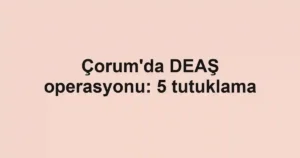 Çorum'da DEAŞ operasyonu: 5 tutuklama