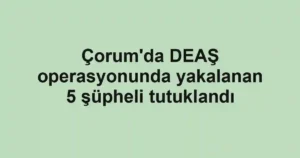 Çorum'da DEAŞ operasyonunda yakalanan 5 şüpheli tutuklandı
