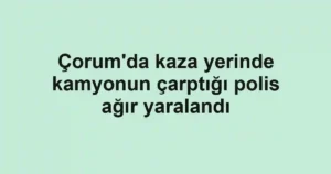 Çorum'da kaza yerinde kamyonun çarptığı polis ağır yaralandı