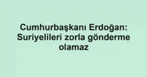 Cumhurbaşkanı Erdoğan: Suriyelileri zorla gönderme olamaz