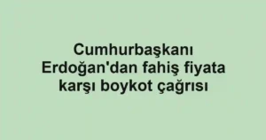 Cumhurbaşkanı Erdoğan'dan fahiş fiyata karşı boykot çağrısı