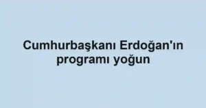 Cumhurbaşkanı Erdoğan'ın programı yoğun
