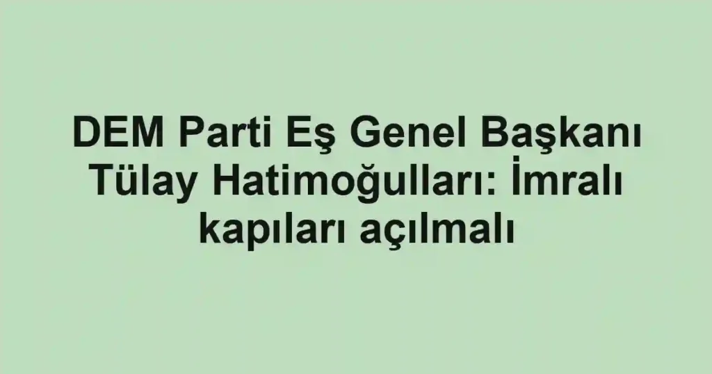 DEM Parti Eş Genel Başkanı Tülay Hatimoğulları: İmralı kapıları açılmalı