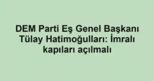 DEM Parti Eş Genel Başkanı Tülay Hatimoğulları: İmralı kapıları açılmalı
