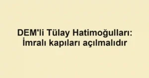 DEM'li Tülay Hatimoğulları: İmralı kapıları açılmalıdır