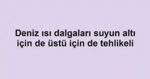 Deniz ısı dalgaları suyun altı için de üstü için de tehlikeli