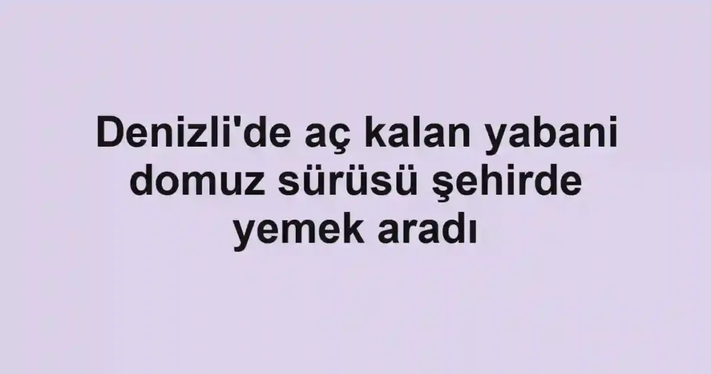 Denizli'de aç kalan yabani domuz sürüsü şehirde yemek aradı