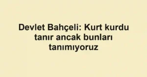 Devlet Bahçeli: Kurt kurdu tanır ancak bunları tanımıyoruz