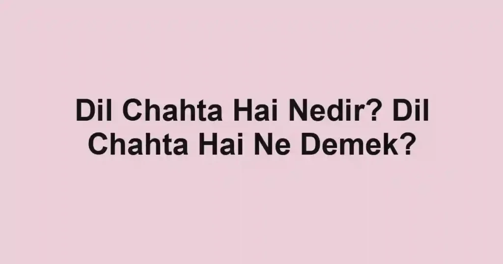Dil Chahta Hai Nedir? Dil Chahta Hai Ne Demek?