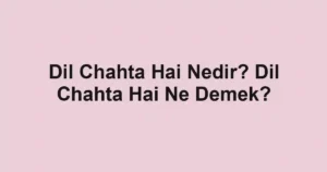 Dil Chahta Hai Nedir? Dil Chahta Hai Ne Demek?