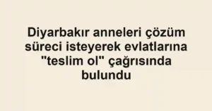 Diyarbakır anneleri çözüm süreci isteyerek evlatlarına "teslim ol" çağrısında bulundu