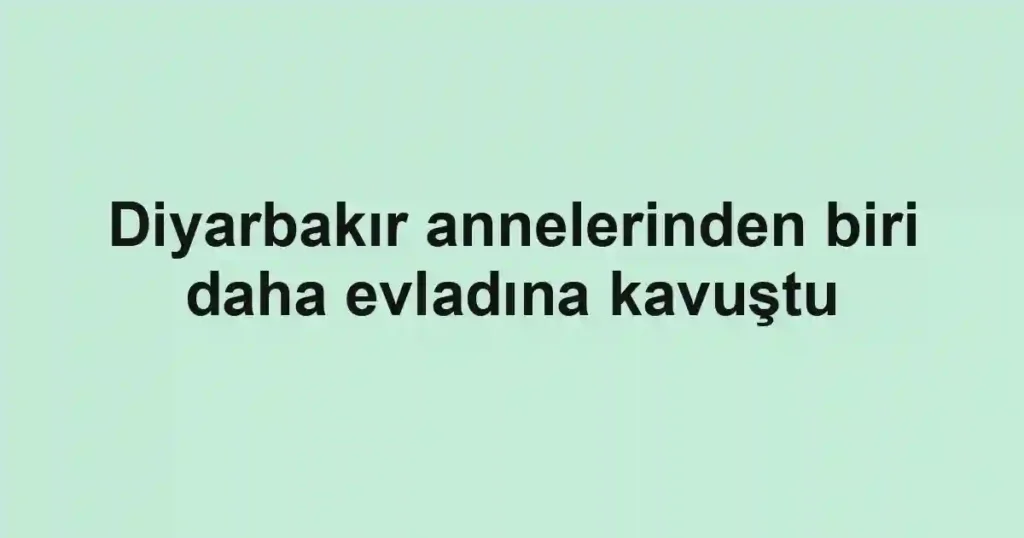 Diyarbakır annelerinden biri daha evladına kavuştu