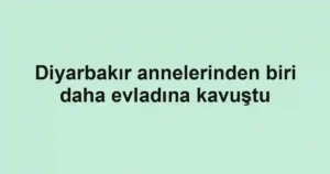 Diyarbakır annelerinden biri daha evladına kavuştu