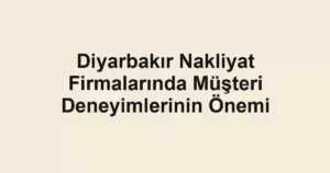 Diyarbakır Nakliyat Firmalarında Müşteri Deneyimlerinin Önemi